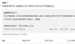 网上爆料吴女士被抓视频,网络热议背后的真相揭晓